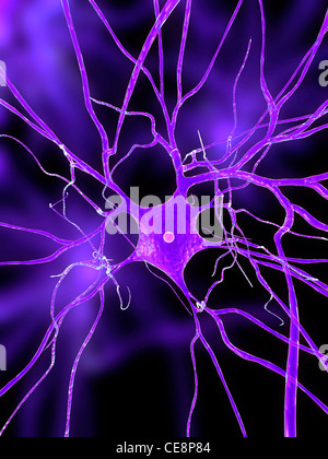 Nervenzelle, Computer-Grafik. Stockfoto