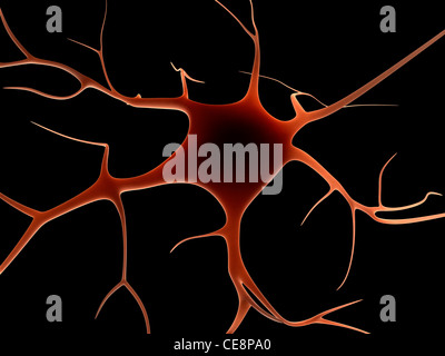 Nervenzelle, Computer-Grafik. Stockfoto