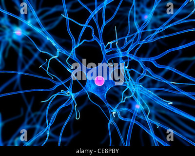 Nervenzelle, Computer-Grafik. Stockfoto