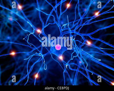 Nervenzelle, Computer-Grafik. Stockfoto