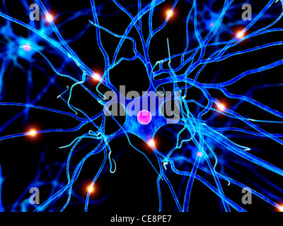 Nervenzelle, Computer-Grafik. Stockfoto