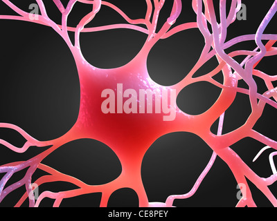 Nervenzelle, Computer-Grafik. Stockfoto