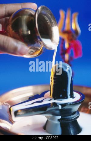 VHM 81112: Mahashivratri Festival Anbetung mit Milch von Gott Shiva Linga Indien Stockfoto