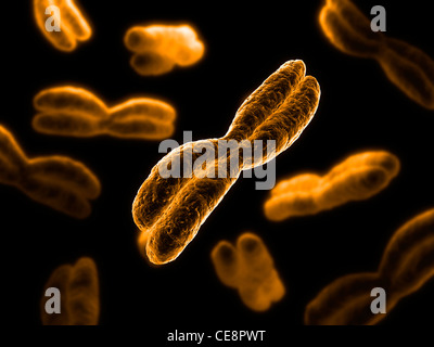 Chromosomen, Computer-Grafik. Stockfoto