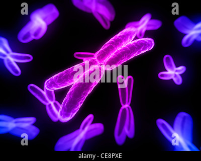 Chromosomen, Computer-Grafik. Stockfoto