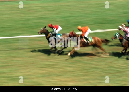 Pferderennen , Mahalakshmi Rennstrecke , Bombay , Mumbai , Maharashtra , Indien , Asien Stockfoto
