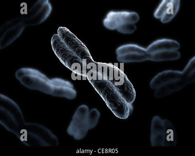 Chromosomen, Computer-Grafik. Stockfoto