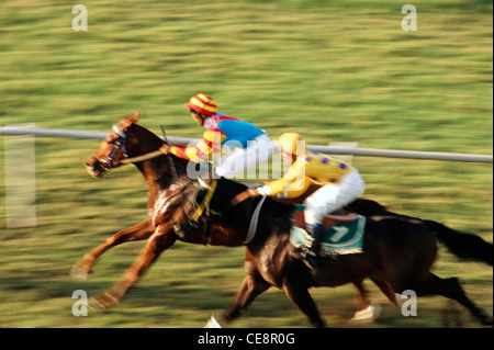 Pferderennen , Mahalakshmi Rennstrecke , Bombay , Mumbai , Maharashtra , Indien , Asien Stockfoto