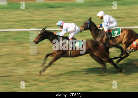 Pferderennen , Mahalakshmi Rennstrecke , Bombay , Mumbai , Maharashtra , Indien , Asien Stockfoto