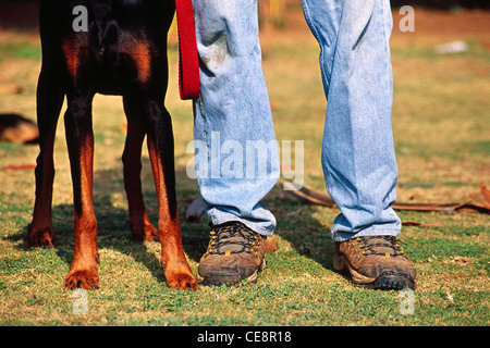 Hundeschau, Beine von Hund und Mann in blauen Jeans, indien, asien Stockfoto