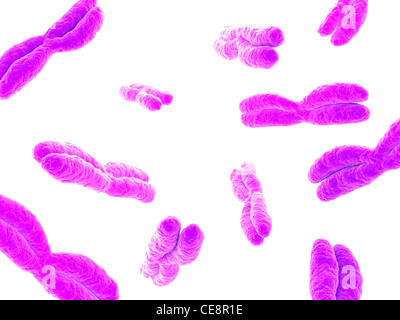 Chromosomen, Computer-Grafik. Stockfoto