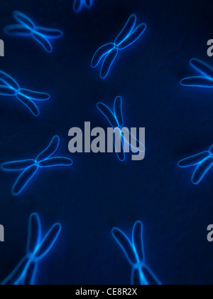 Chromosomen, Computer-Grafik. Stockfoto