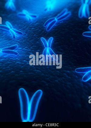 Chromosomen, Computer-Grafik. Stockfoto