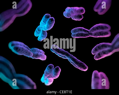 Chromosomen, Computer-Grafik. Stockfoto