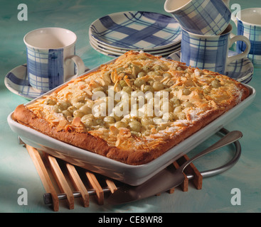 Stachelbeere-Kuchen auf dem Backblech mit Quark - Grieß - Creme Stockfoto