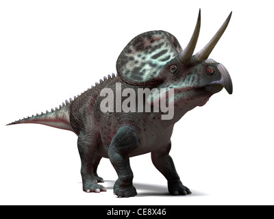 Zuniceratops Dinosaurier Computer Grafik Dinosaurier lebten vor ca. 90 Millionen Jahren Turonium Alter späten Kreidezeit. Stockfoto