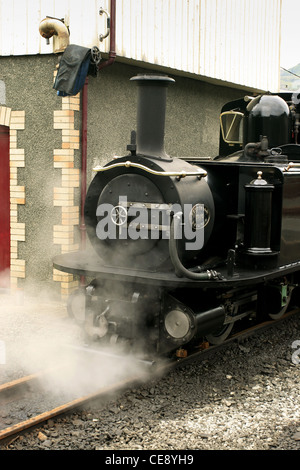 Dampftank Motoren auf der welsh Ffestiniog Bahn ländlichen Zug Service Wales Großbritannien Stockfoto