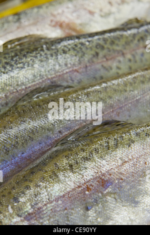 Frischer Fisch auf dem Display am Stall in einem lokalen Markthalle in England Stockfoto