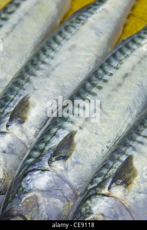 Frischer Fisch auf dem Display am Stall in einem lokalen Markthalle in England Stockfoto