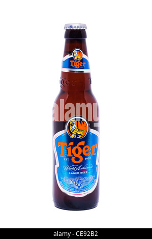 Eine Flasche Tiger Lagerbier auf weißem Hintergrund Stockfoto