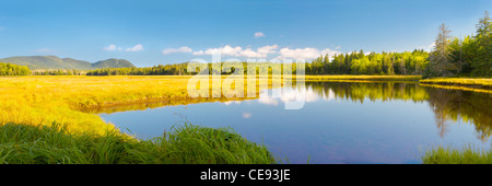 Frühherbst im Bass Harbor Marsh Acadia Nationalpark Maine. Stockfoto