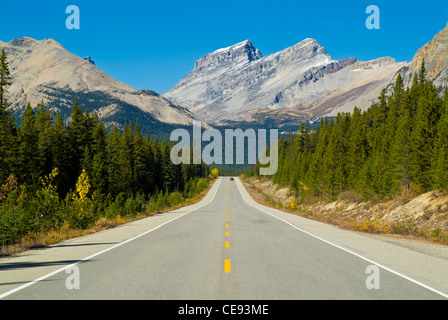 ein Auto in der Ferne auf dem Icefields Parkway scenic Highway in der Nähe von Peyto Banff national Park Alberta Kanada Nordamerika Stockfoto