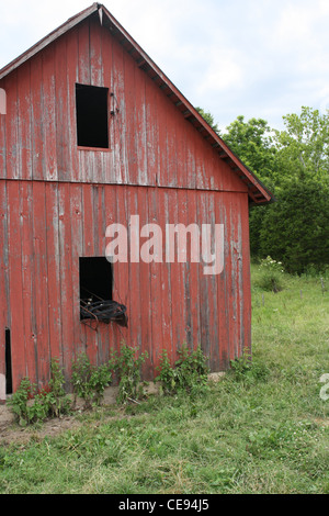 Alte rote Scheune in Feld Stockfoto