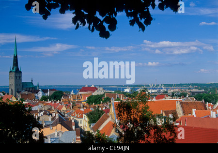 Die Altstadt von Tallinn Stockfoto