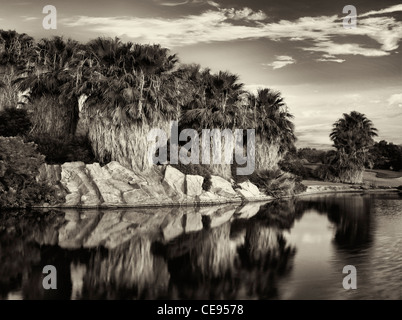 Teich und Palmen Tress bei Sonnenaufgang Desert Willow Golf Resort. Palm Desert, Kalifornien Stockfoto