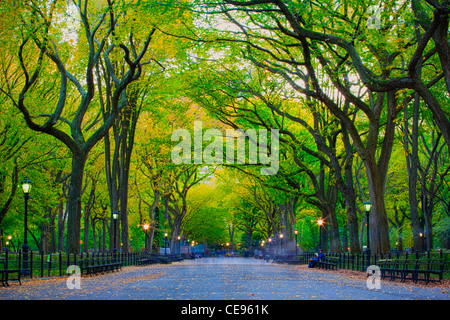 Die Mall und literarischen Spaziergang, Central Park Stockfoto