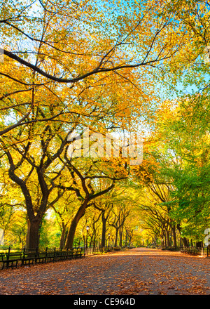 Literarischer Spaziergang im Herbstfarben, Central Park Stockfoto