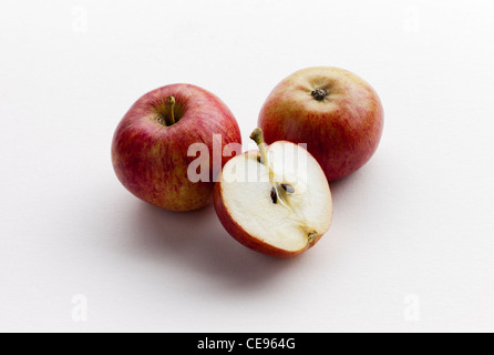 Drei rote Äpfel Jester Stockfoto