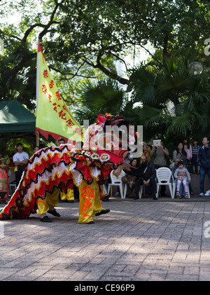 dh Kowloon Park TSIM SHA TSUI HONG KONG Chinesische Jungen Löwentanz-Ausstellung, die im Fernen Osten chinas aufführt Stockfoto