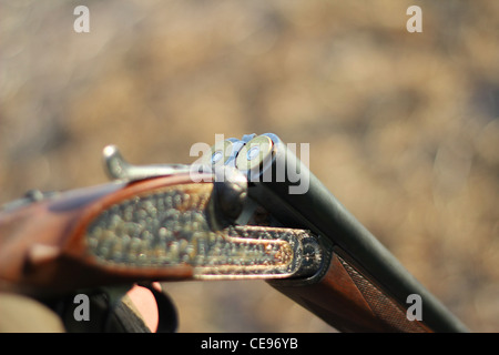 Schrotflinte geladen auf Land Stockfoto