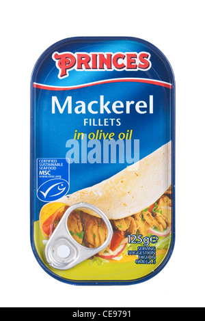 Kann der Fürsten Makrelen Filets in Olivenöl auf weiß Stockfoto