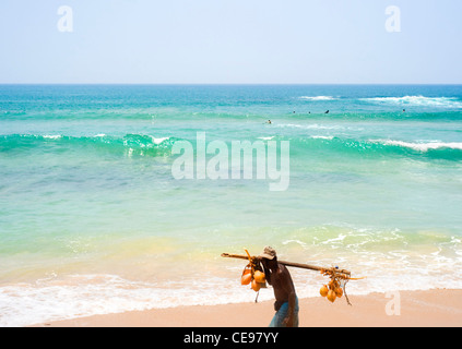 Lokale Sri Lankan Händler zu Fuß entlang des Strandes mit einer Kokosnuss auf seinen Schultern versuchen, ihn zu verkaufen Stockfoto