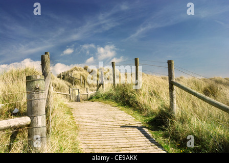 Sanddünen zurück am Strand in Littlehampton, West Sussex, England, uk Stockfoto