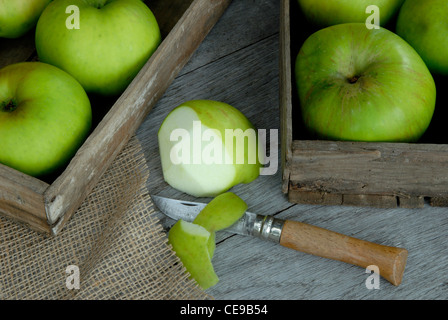 Bramley Äpfel kochen Stockfoto