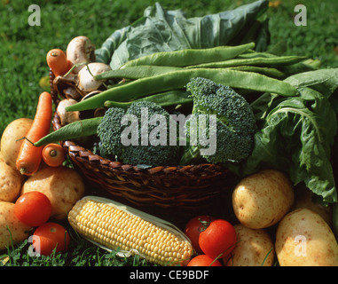 Korb voll mit Gemüse, Berkshire, England, Vereinigtes Königreich Stockfoto