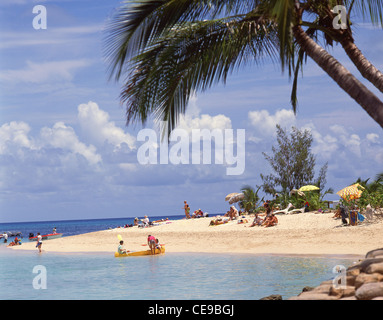 Coral cay Reinfern Beach, Green Island, Great Barrier Reef Marine Park, Queensland, Australien Stockfoto