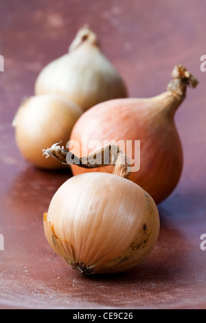 Nahaufnahme der frische gelbe Zwiebeln auf einem hölzernen Hintergrund Stockfoto