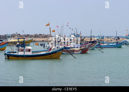 Angelboote/Fischerboote im Hafen, Hikkaduwa, Sri Lanka Stockfoto