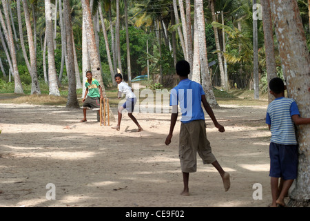 Eine Gruppe von jungen Kindern spielen Cricket im Schatten der Palmen im Süden westlich von Sri Lanka, in der Nähe der Stadt Matara. Stockfoto