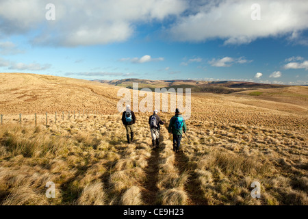 Drei Wanderer zu Fuß über Moor von Craighope Head mit schwarzen Knowe vorne in der Langholm Hills, Scottish, Grenze, Sco Stockfoto