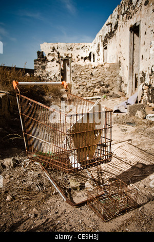 Verlassene Einkaufswagen in einem zerstörten Gebäude, El Cotillo, Fuerteventura Stockfoto