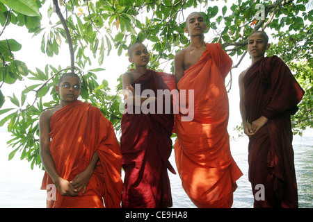 Vier junge buddhistische Mönche gekleidet in traditionellen Gewändern stehen neben einem See Stockfoto