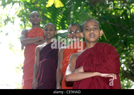 Vier junge buddhistische Mönche standen zusammen unter den Bäumen Stockfoto