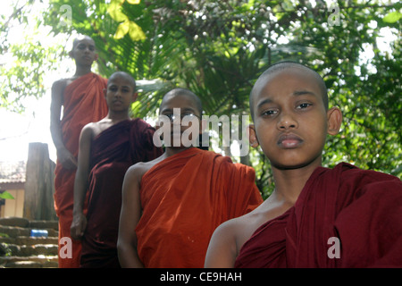 Vier junge buddhistische Mönche standen zusammen unter den Bäumen Stockfoto