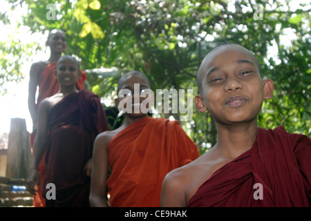 Vier junge buddhistische Mönche standen zusammen unter den Bäumen Stockfoto