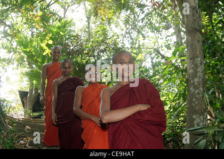 Vier junge buddhistische Mönche standen zusammen unter den Bäumen Stockfoto